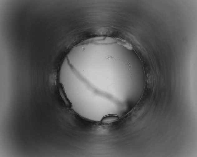 X0000096710368200802191513