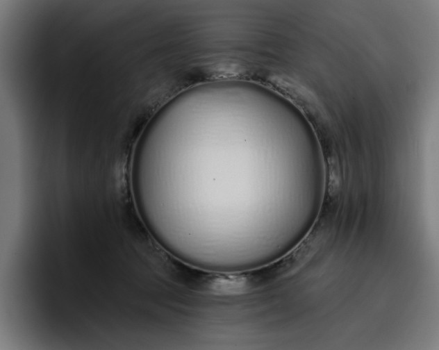 X0000096710369200802191513