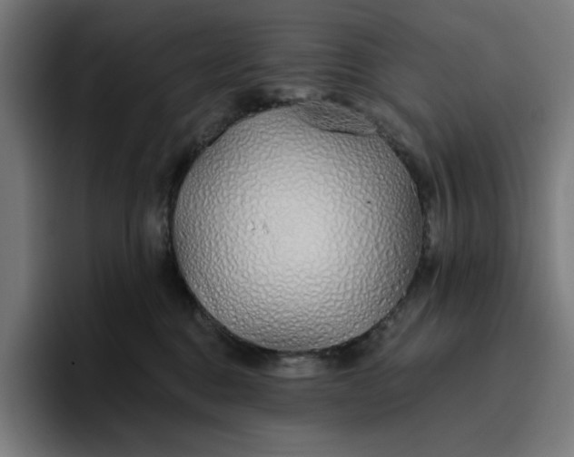 X0000096710376200802191513