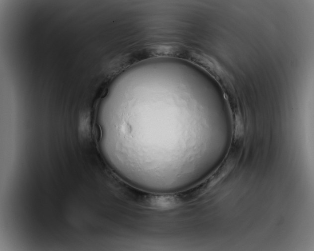 X0000096710377200802191513