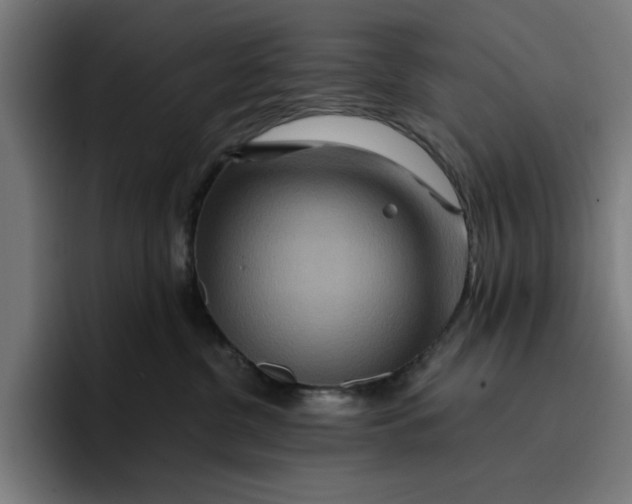 X0000096710380200802191513