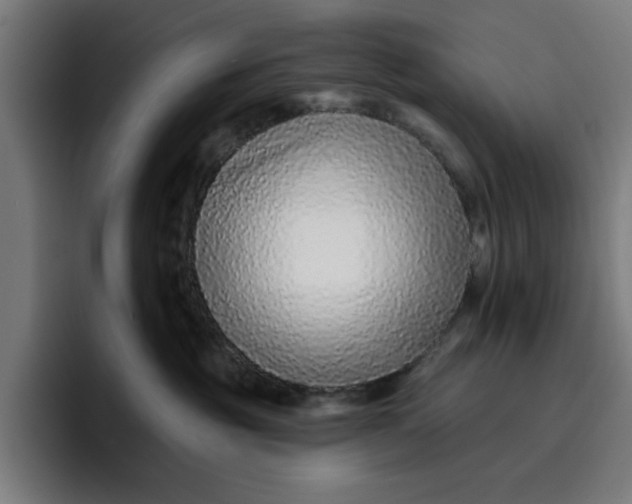 X0000096710381200802191513