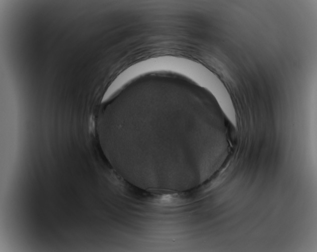 X0000096710382200802191513