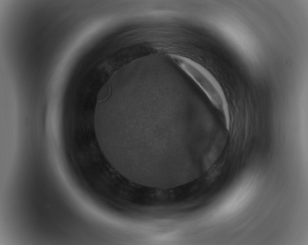 X0000096710383200802191513