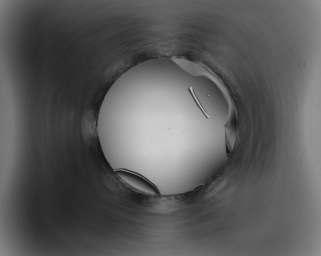 X0000096710384200802191513