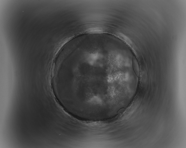 X0000096710385200802191512