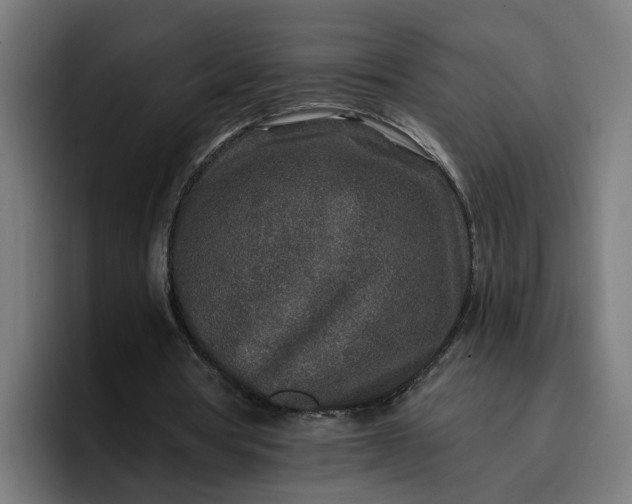 X0000096710386200802191512