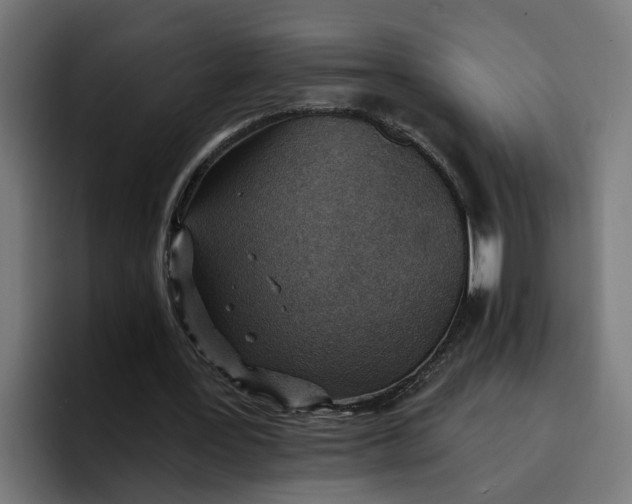 X0000096710387200802191512