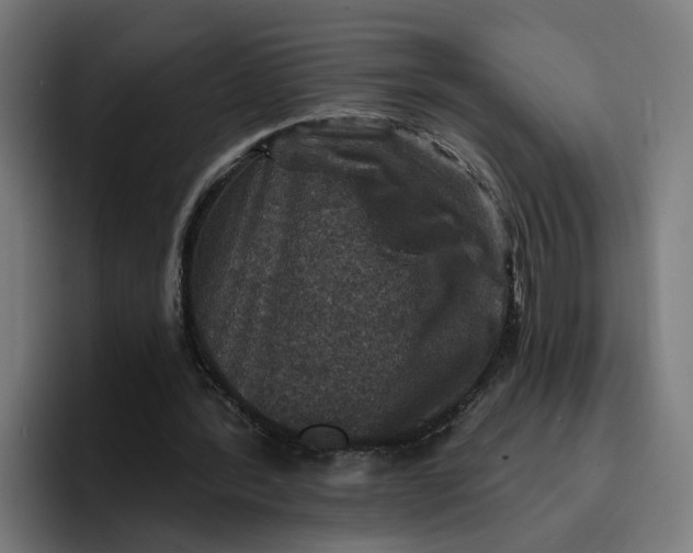 X0000096710388200802191512