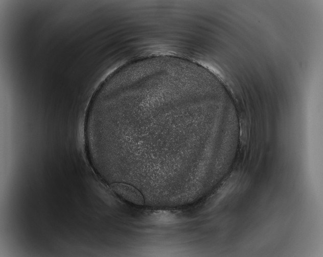 X0000096710390200802191512