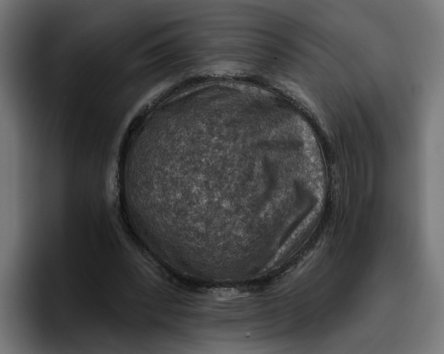 X0000096710392200802191512