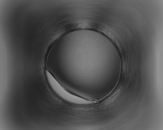 X0000096710393200802191512