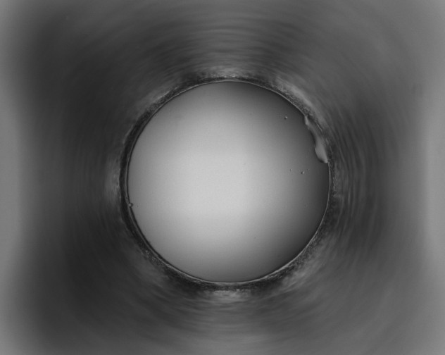 X0000096710394200802191512