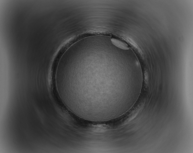 X0000096710396200802191512