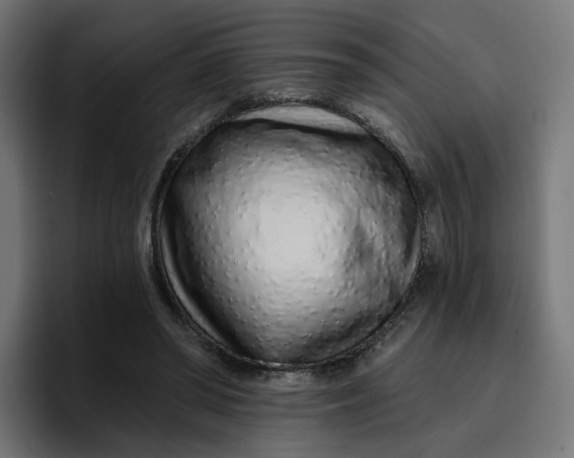 X0000096710398200802191512