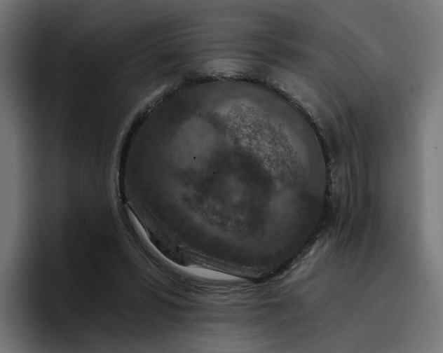 X0000096710399200802191512