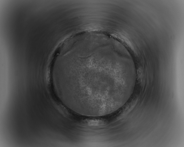 X0000096710400200802191512