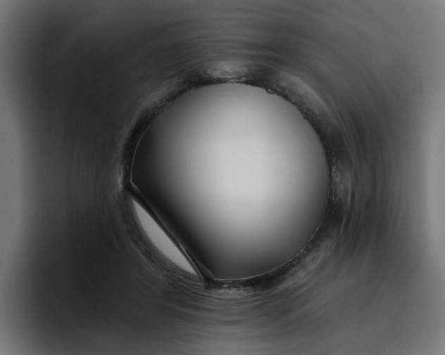 X0000096710404200802191512