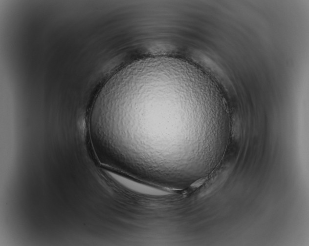 X0000096710405200802191512