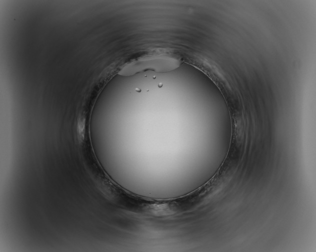 X0000096710406200802191512