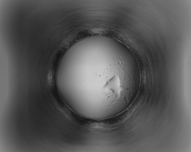 X0000096710408200802191512