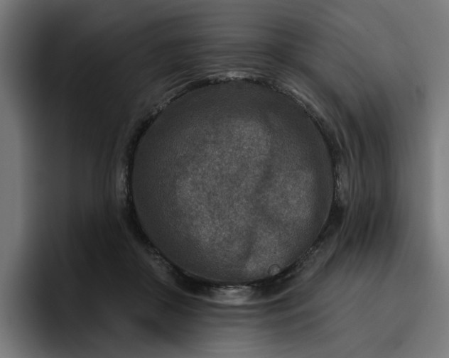 X0000096710410200802191512