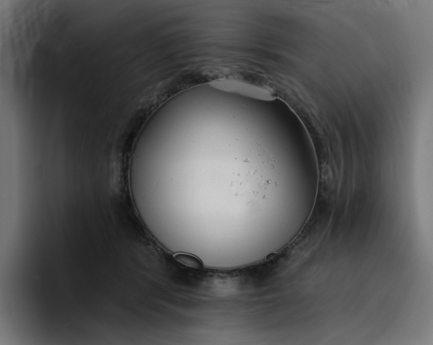 X0000096710416200802191512