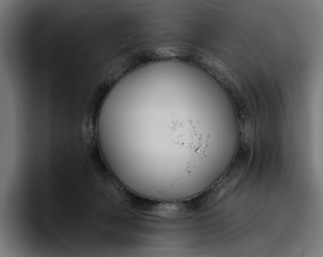 X0000096710418200802191512