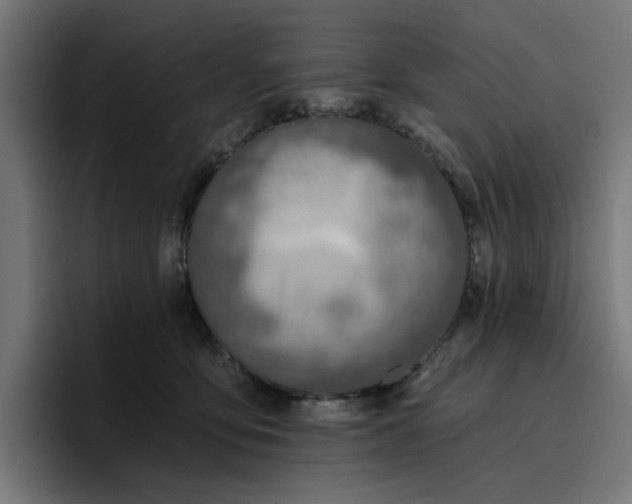 X0000096710419200802191512