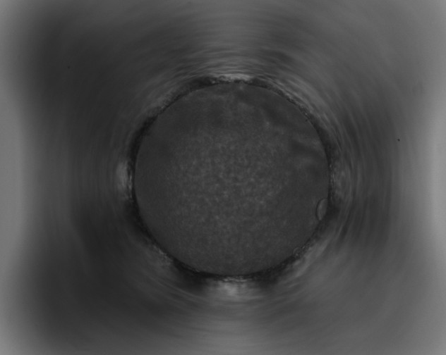 X0000096710420200802191512