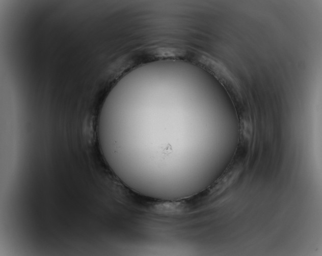 X0000096710422200802191512