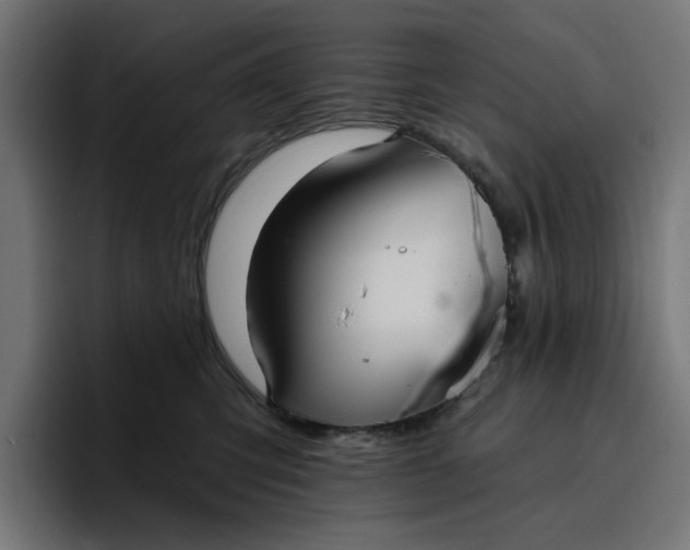 X0000096710423200802191512