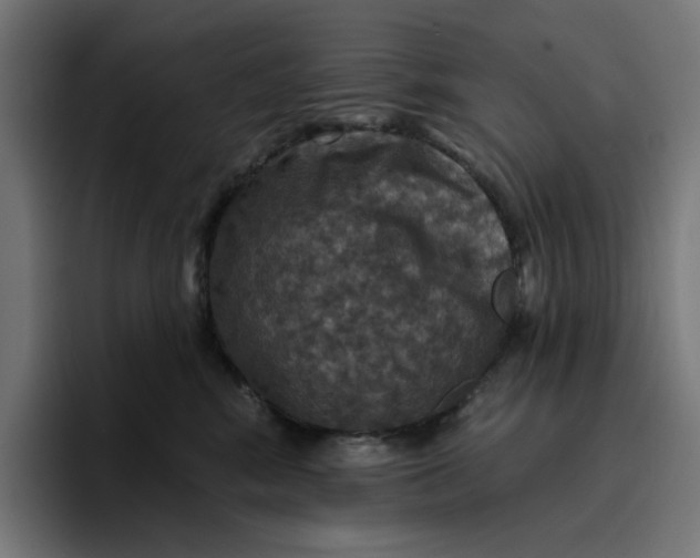 X0000096710424200802191512