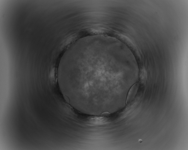 X0000096710428200802191512