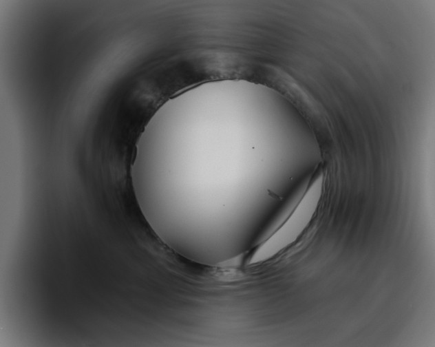 X0000096710429200802191512