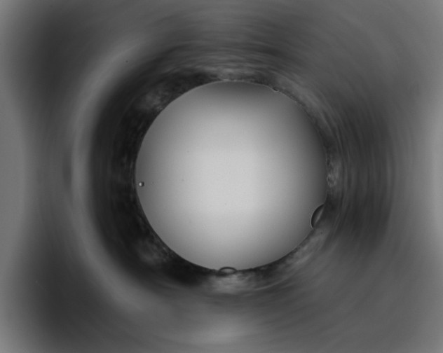 X0000096710430200802191512