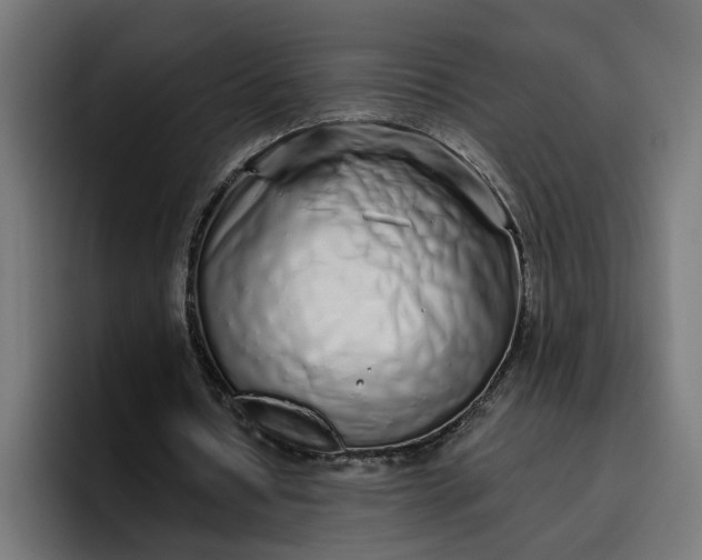 X0000096710434200802191511