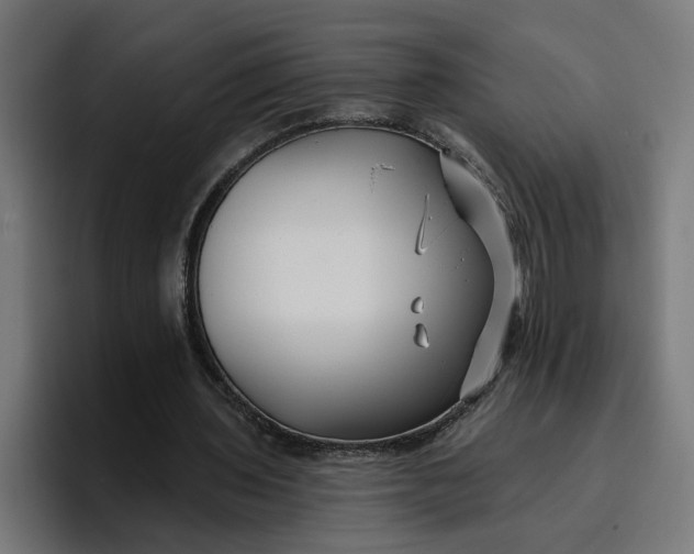 X0000096710435200802191511