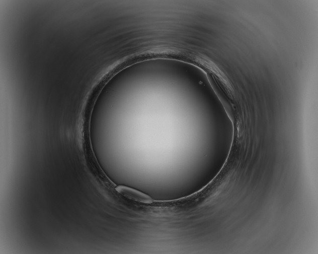 X0000096710436200802191511