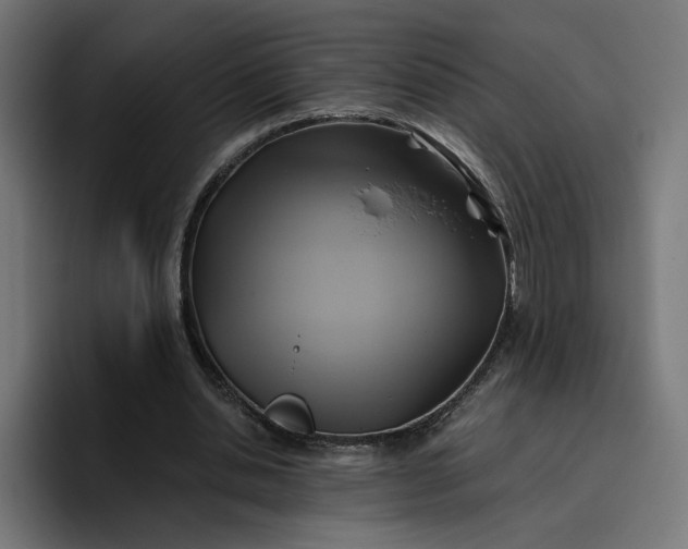 X0000096710438200802191511