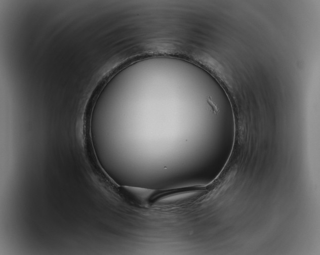 X0000096710439200802191511