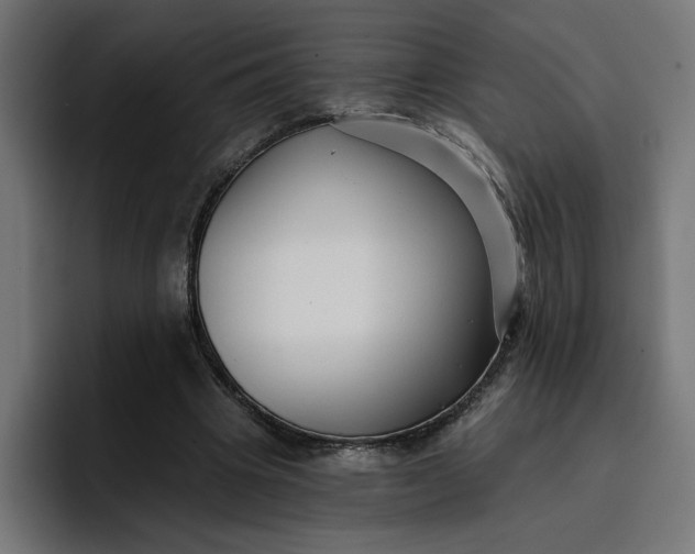 X0000096710441200802191511