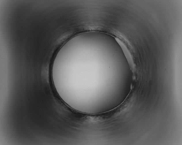 X0000096710442200802191511