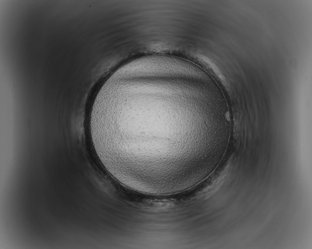 X0000096710443200802191511