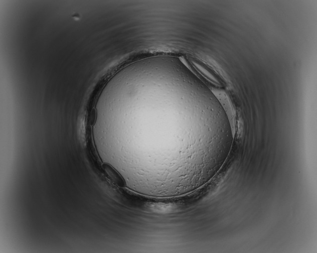 X0000096710444200802191511