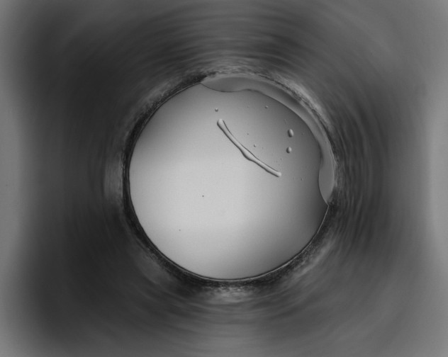 X0000096710445200802191511