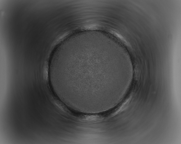 X0000096710446200802191511