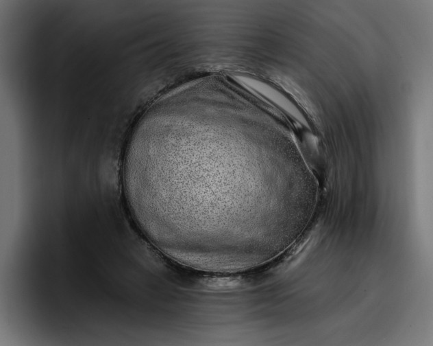 X0000096710449200802191511