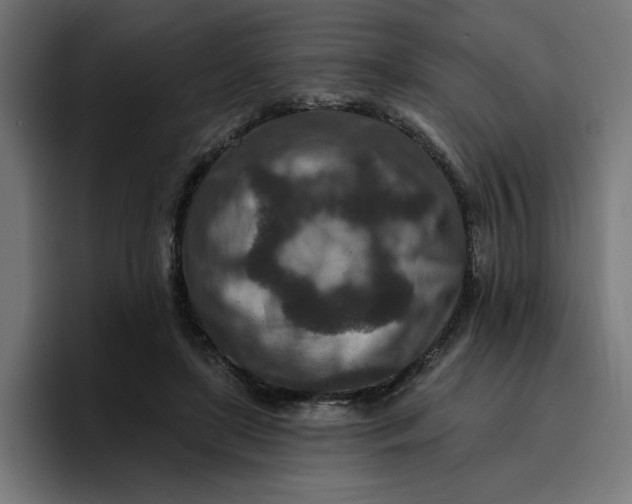 X0000096710451200802191511