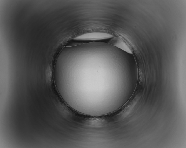 X0000096710453200802191511